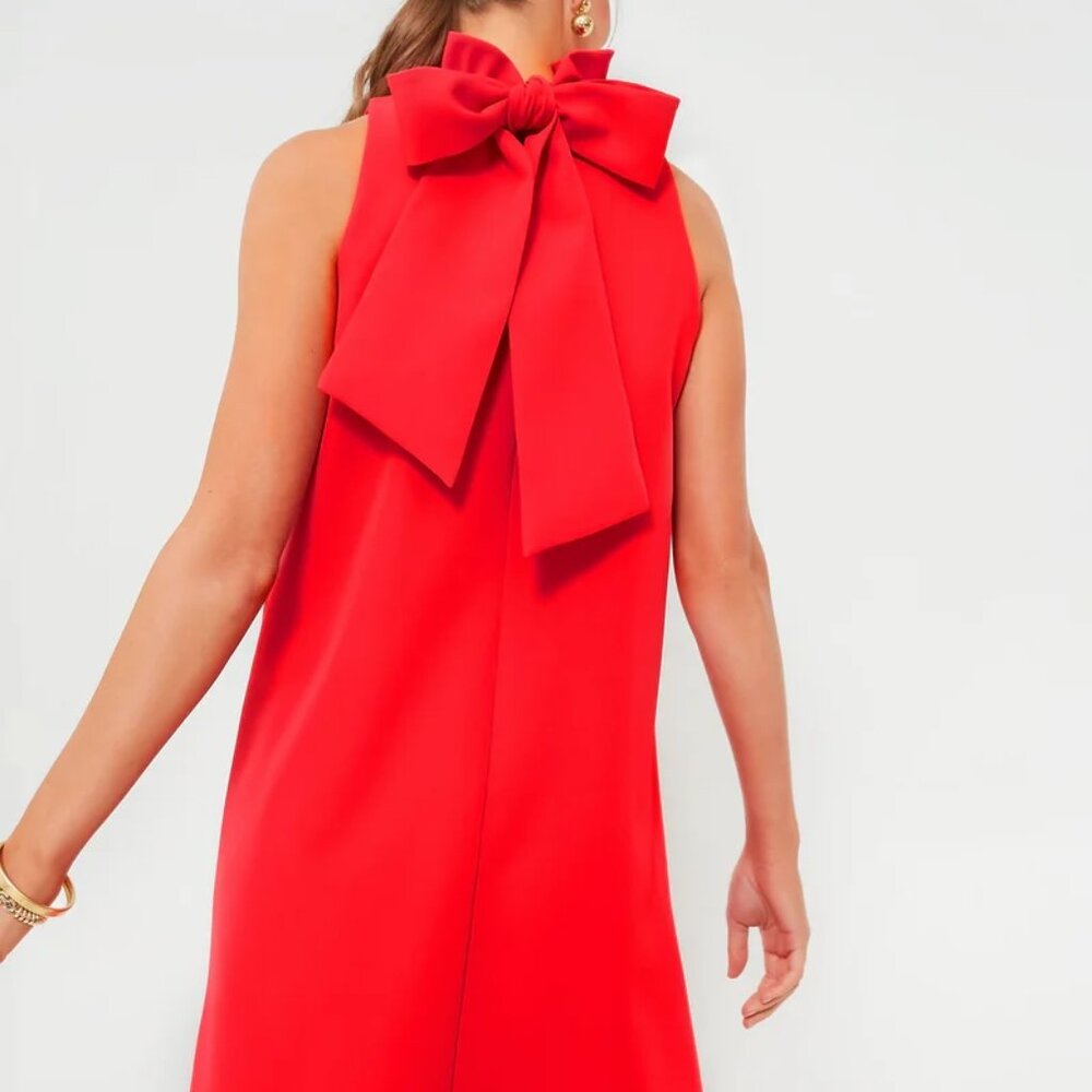 Tuckernuck Red Ruffle Neck Mini Dress - Picture 2 of 7